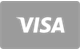 Visa debit and credit card payments accepted at RTP Casino